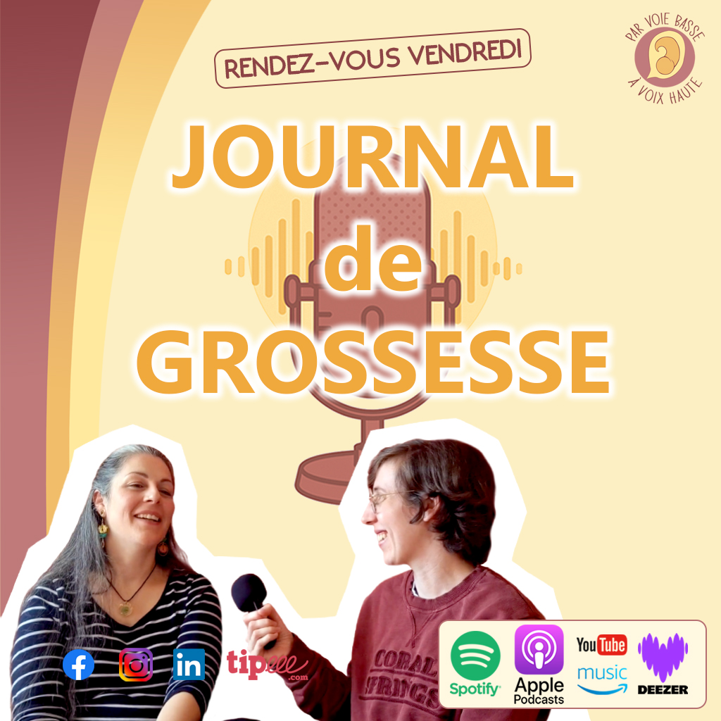 Ep 11 – Journal de Grossesse – Entretien prénatal & projet de naissance